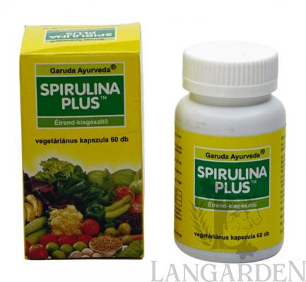 spirulina.jpg