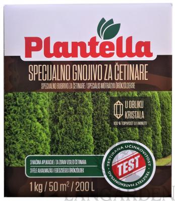 plantella_fenyo.jpg