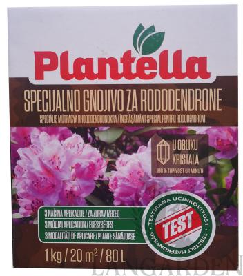 plantella_hortenzia.jpg